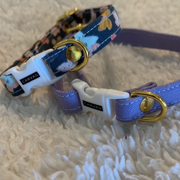 Dog cat collar and leash - Picture 5 of 7